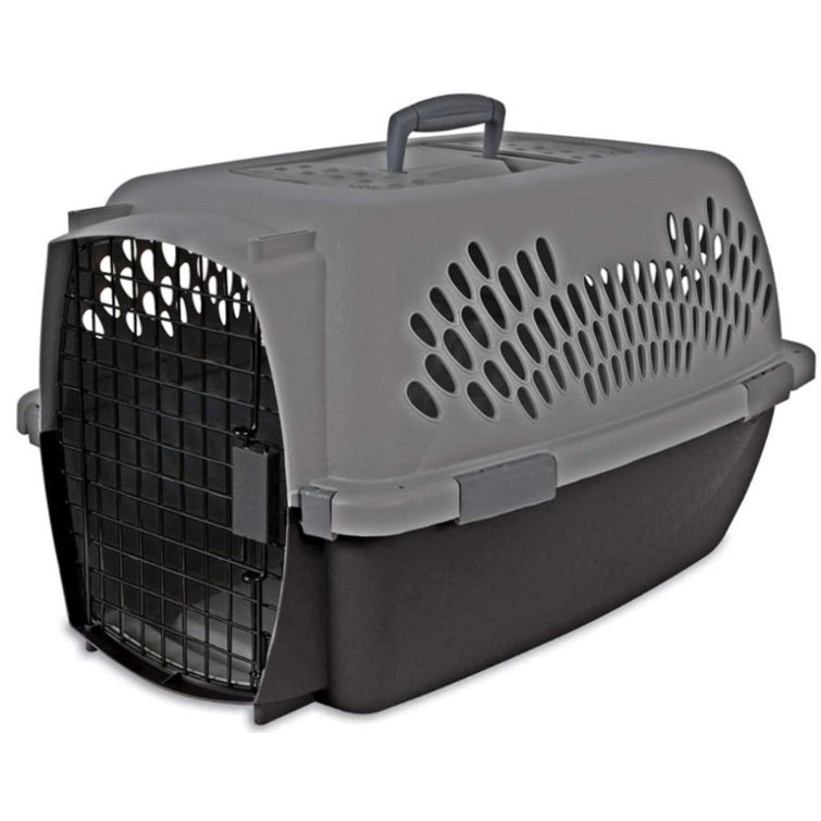 Pet best sale porter crate